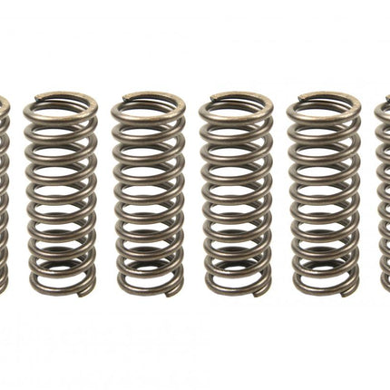 Clutch Springs SET/6 Ebc CSK164