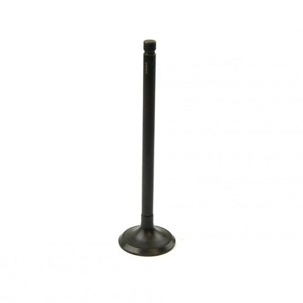Valve Exhaust 12005-1189 20mm AU-09024E