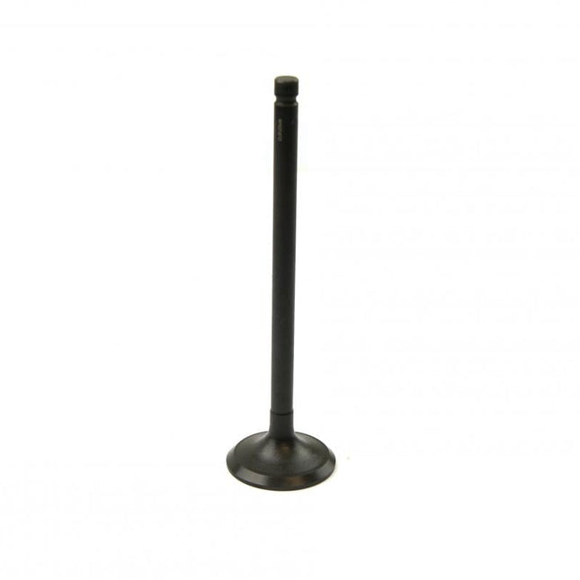 Valve Exhaust 12005-1189 20mm AU-09024E
