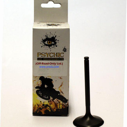 Valve Intake Can-am ATV UTV, AU-09017E, 420239295