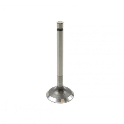 Valve Exhaust TT-R125, YBR125, Prox 28.2200-1 5HP-12121-00-00 5HH-E2121-00-00