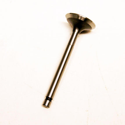 Valve Exhaust TT-R125, YBR125, Prox 28.2200-1 5HP-12121-00-00 5HH-E2121-00-00