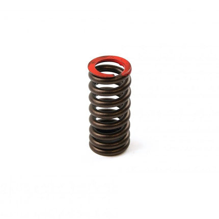 Spring Valve Ex CRF250 08-09