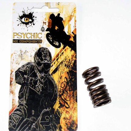 Spring Intake Valve CRF450R, 14751-MEB-670, ATV, MX