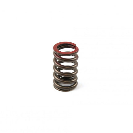 Spring Valve Exhaust KXF450, 49078-0018