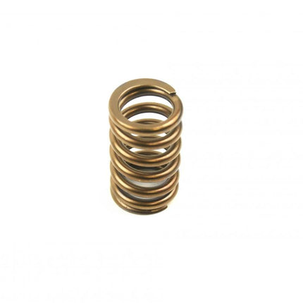 Spring Ex KX450F 06-09
