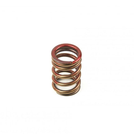 Spring Ex RMZ450 05-09