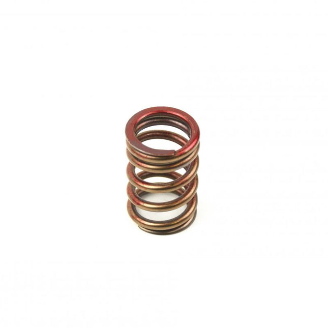 Spring Ex RMZ450 05-09