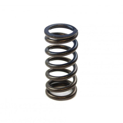 Spring Valve Intake YZF250, XU-09519IS, 5NL-12113-10-00