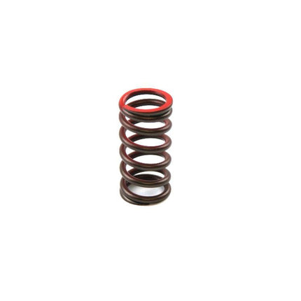 Spring Valve Ex YZF250 01-14, 5NL-12114-10-00 Exhaust Gasgas, XU-09519ES