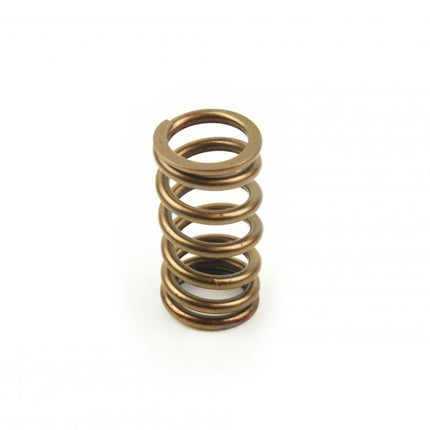 Spring Valve Ex YZF250 02-10