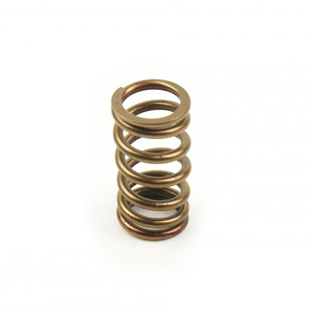 Spring Valve Ex YZF250 02-10