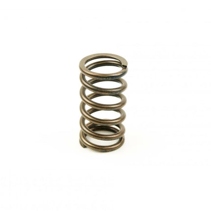 Spring Valve In/ex YZF450 3-09