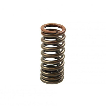 Spring Intake Valve CRF250R, XU-09532IS 14751-KRN-A41