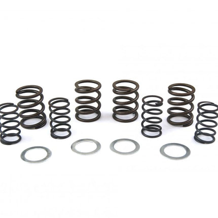 Spring Valve Kit, XR500/600, Kibblewhite 30-4081, 460 Lift