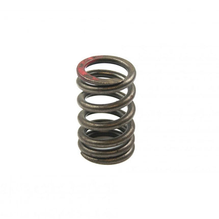 Spring Valve Intake KX250F 11-, Psychic XU-09539IS 49078-0080