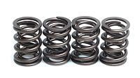 Valve Spring Set Rotax 500/600, Kibblewhite 91-9401 Racing