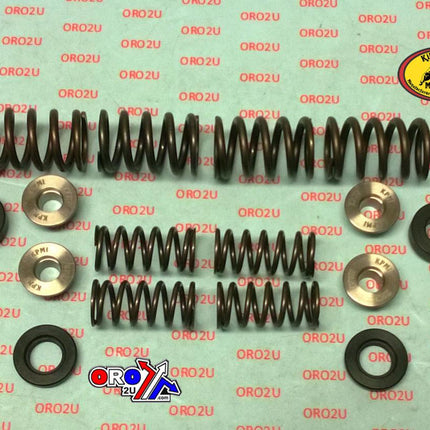 Valve Spring Set YZ450F 14-16, Kibblewhite 80-80750