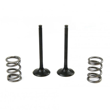Kit Ex Valve+spring LT-R450, Prox 28.SES3406-1 Exhaust