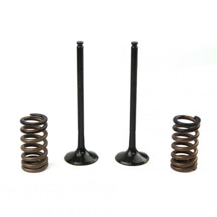 Kit Ex Valve+spring KTM250, Prox 28.SES6329-1 Exhaust