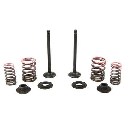 Valve Kit Exhaust CRF110F, Psychic XU-09558EK