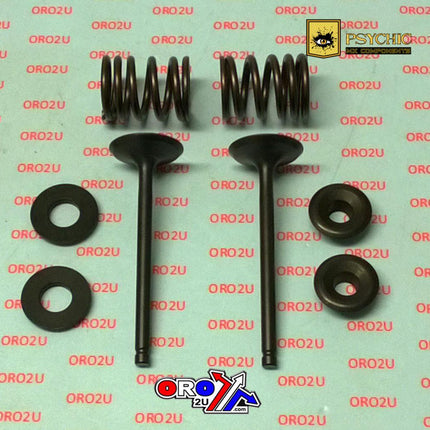 Valve Kit Intake CRF110F, Psychic XU-09558IK