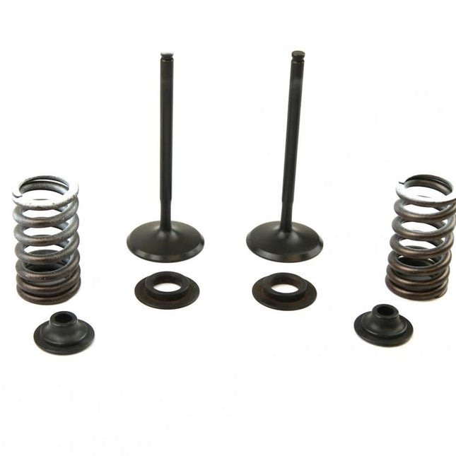 Valve Kit Exhaust CRF450R, Psychic XU-09546EK 13-20