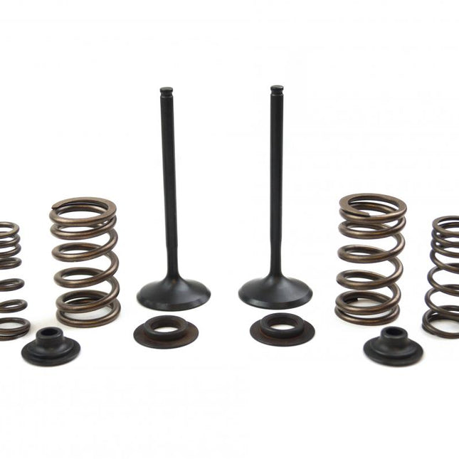 Valve Kit Exhaust CRF450X, Psychic XU-09503EK 05-17
