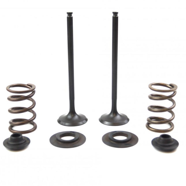 Valve Kit Exhaust KTM Husaberg, Psychic XU-09551EK