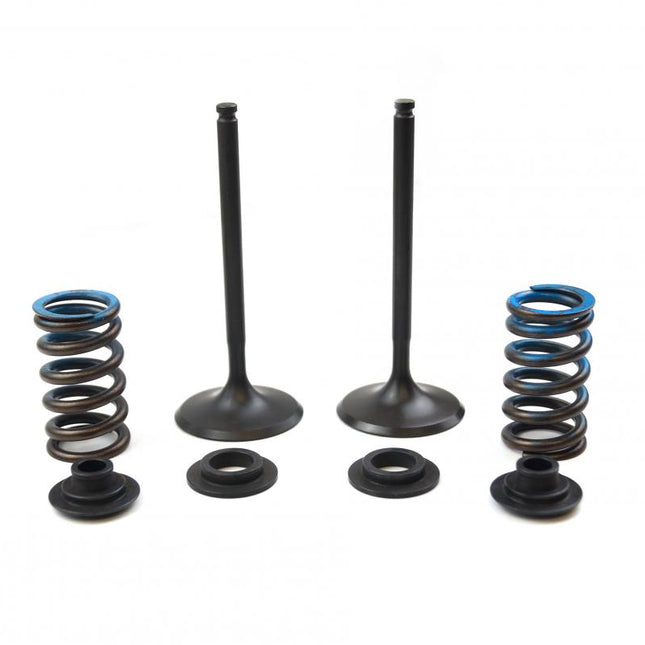 Valve Kit Intake KTM Husky, Psychic XU-09556IK