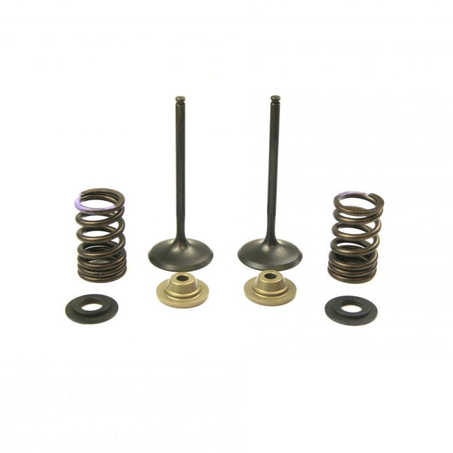 Valve Kit Intake KX250F, Psychic XU-09552IK 07-08