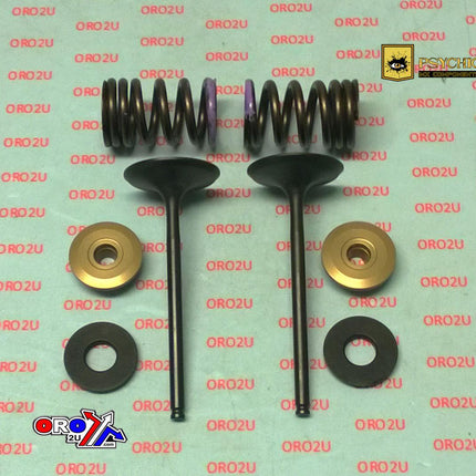 Valve Kit Intake KX250F, Psychic XU-09552IK 07-08