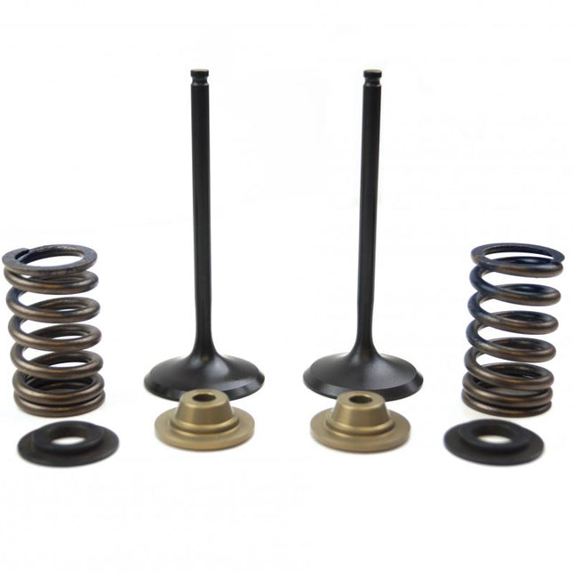 Valve Kit Intake KX250F, Psychic XU-09515IK 09-10