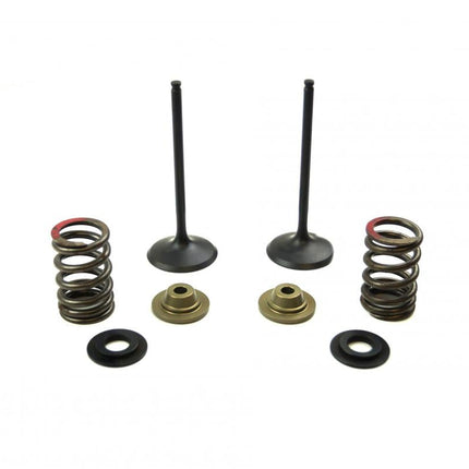 Valve Kit Intake KX250F, Psychic XU-09539IK 11-16