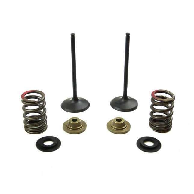 Valve Kit Intake KX250F, Psychic XU-09539IK 11-16
