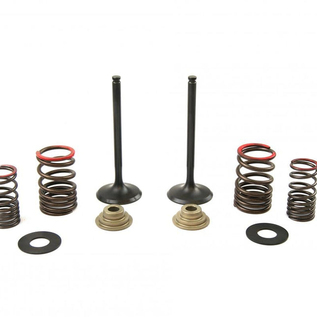 Valve Kit Exhaust KX450F, Psychic XU-09164EK 06-08