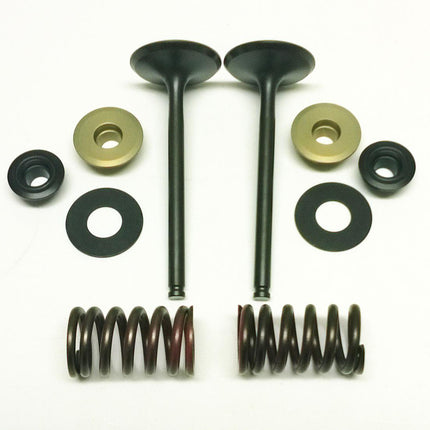 Valve Kit Exhaust KX450F, Psychic XU-09164EK 06-08