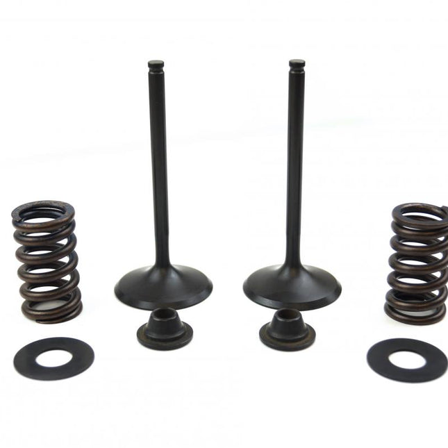 Valve Kit Intake KX450F, Psychic XU-09164IK 06-08
