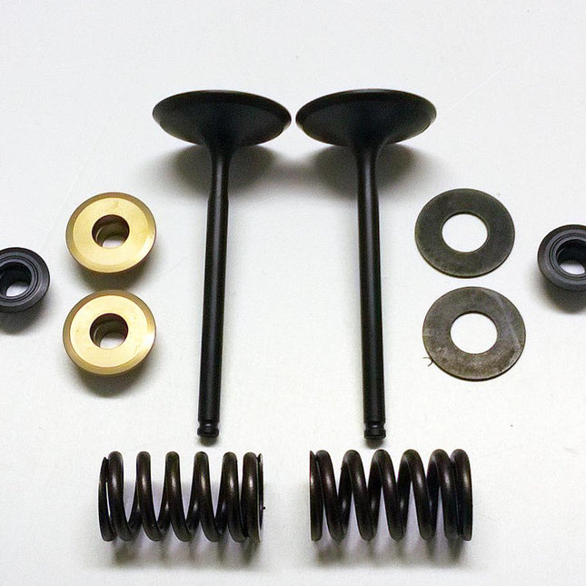 Valve Kit Intake KX450F, Psychic XU-09164IK 06-08