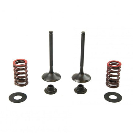 Valve Kit Exhaust KX450F, Psychic XU-09528EK 09-15