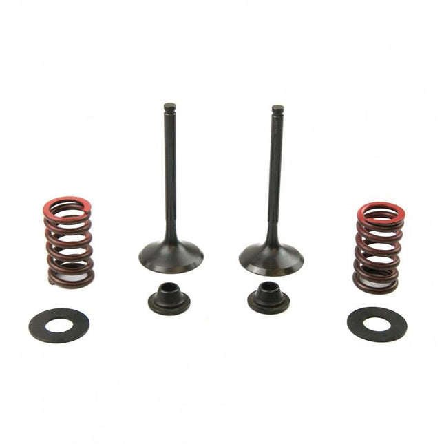 Valve Kit Exhaust KX450F, Psychic XU-09528EK 09-15