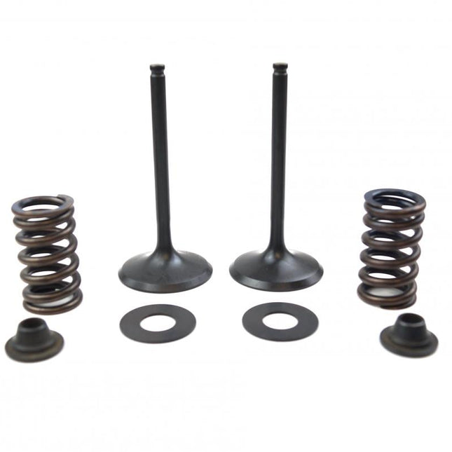Valve Kit Intake KX450F, Psychic XU-09528IK 09-15