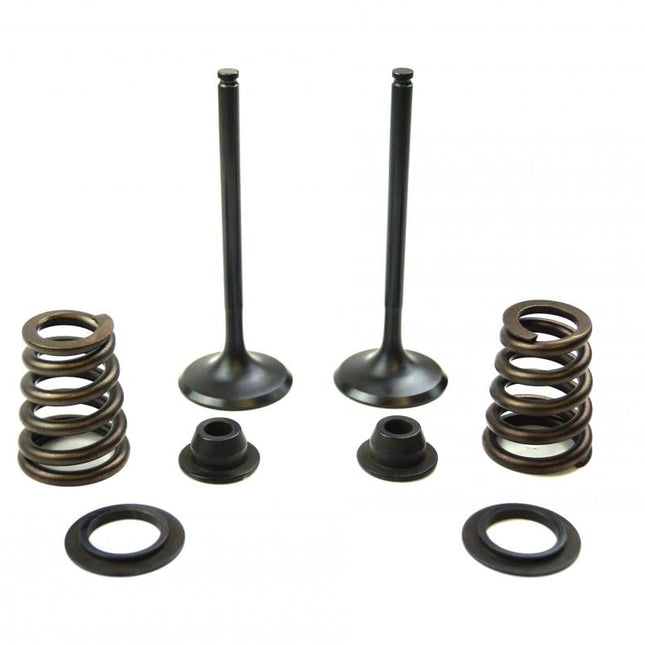 Valve Kit Intake KTM 450-525, Psychic XU-09549IK 00-07