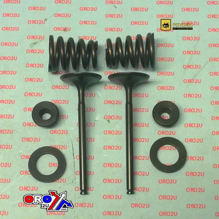 Valve Kit Intake KTM 450-525, Psychic XU-09549IK 00-07
