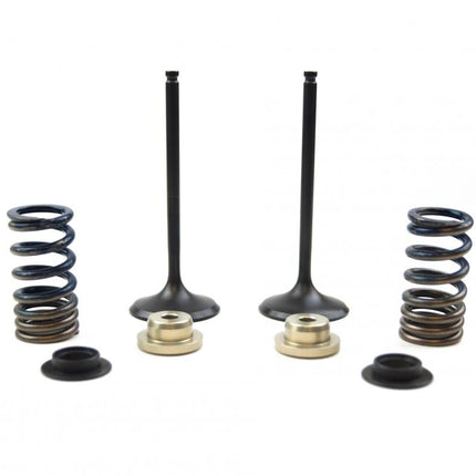 Valve Kit Intake RMZ250 10-19, Psychic XU-09531IK