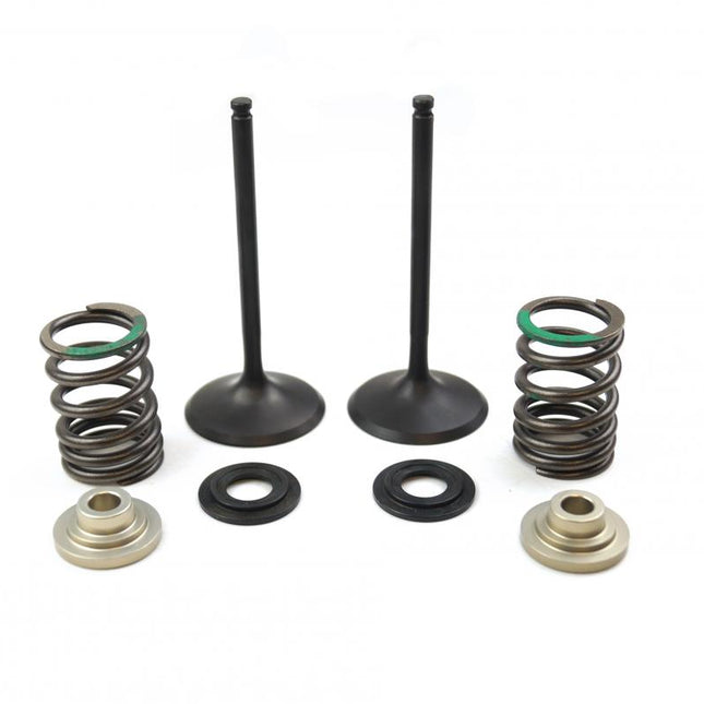 Valve Kit Intake RMZ450 05-06, Psychic XU-09536IK