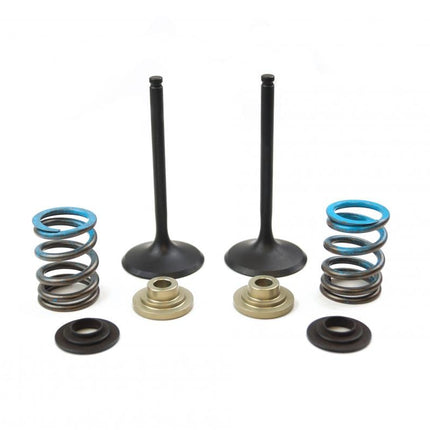 Valve Kit Intake RMZ450 08-15, Psychic XU-09527IK RMX450