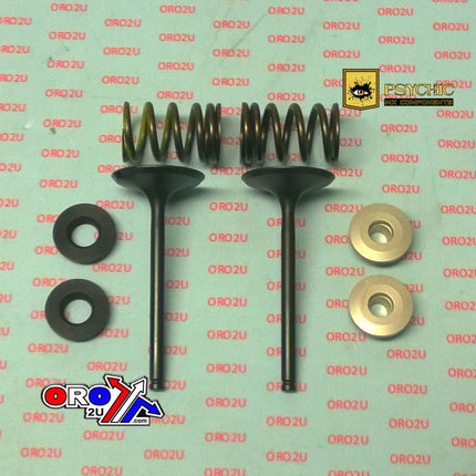Valve Kit Intake RMZ450 08-15, Psychic XU-09527IK RMX450