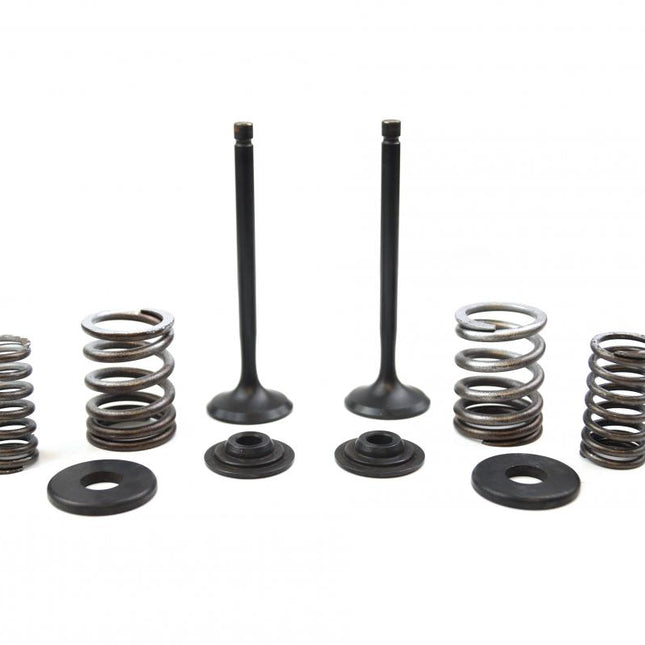 Valve Kit Exhaust TT-R225, Psychic XU-09518EK XT225