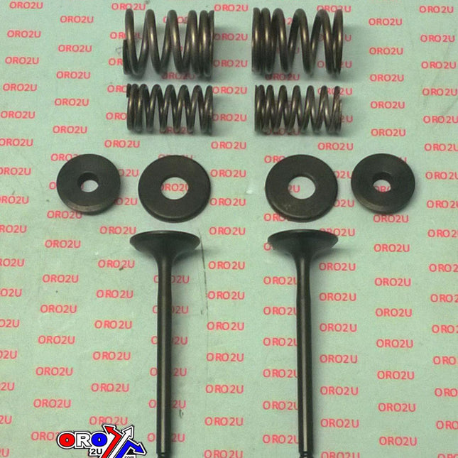 Valve Kit Exhaust TT-R225, Psychic XU-09518EK XT225
